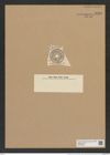Actinoptychus van-heurcke Pant. (de-Toni-Nr.: Genus 227, Species 5561) Zeichnungen Sammlung Grunow Nr. 9590 (NHMW-BOT-W0379408)